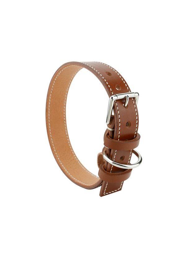 Collier Pour Chien Et Chat En Cuir Gold Fabien Ifires Collier Pour Chien Et Chat En Cuir Gold Fabien Ifires